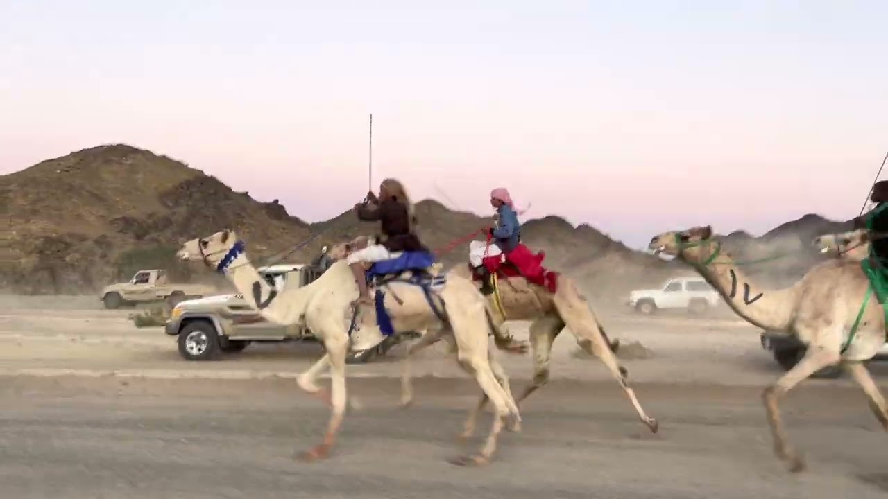 (مركاض ضوجي بمناسبة زواج / علي محمد الطويرش).  الحاصل على المركز الاول:فزاع/سالم سليمان الحويطي