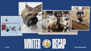 Snowstorms, Firsts & So Much Love | Winter at Arthur’s Acres