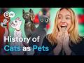 How Cats Transformed From Wild Animals to World Rulers