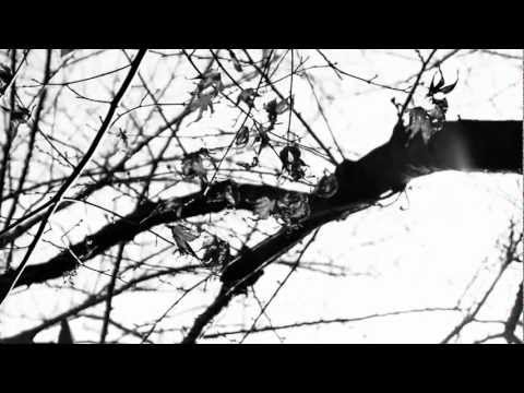 Ryunosuke Akutagawa Toshishun Reo Takeda CUTNOVEL English