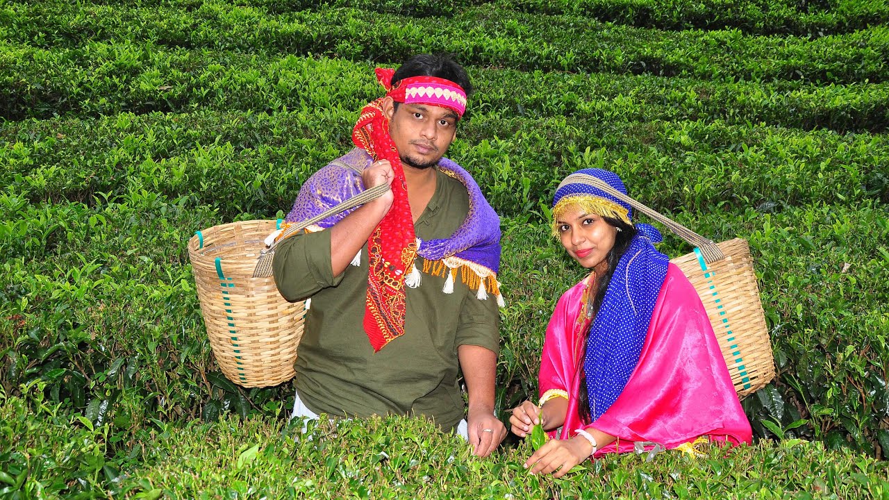 Ooty Tea Factory Chocolate Factory Tea Garden Tea Estate Best Place Ooty Tea Factory Chocolate Factory Tea Garden Tea Estate Best Place