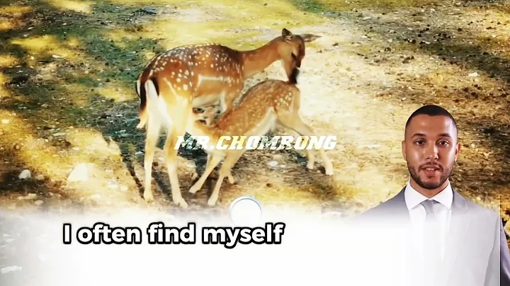 STEP-BY-STEP GUIDE TO CUTTING LARGE TREES