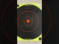 Gamo swarm Target practice 50 yards tips and tricks zero at 100