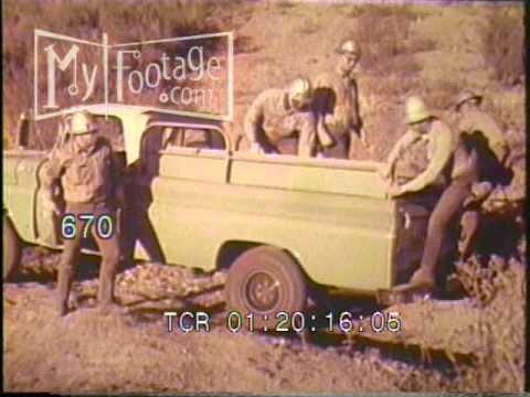 1950s Forest Service Employees Respond to Forest Fire