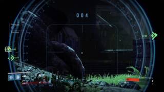 Last Exit - Firefly Collateral Kill