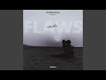 Flaws intro