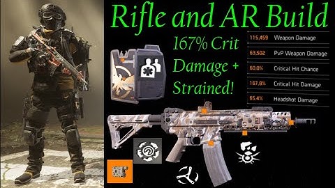 PVE Rifle and Assault Rifle build | The Division 2 TU9