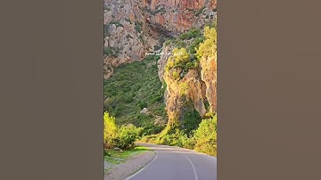سورة آل عمران    ربنا اننا آمنا فاغفر لنا ذنوبنا