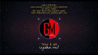 Tekir & Gm - Uyudun Mu?