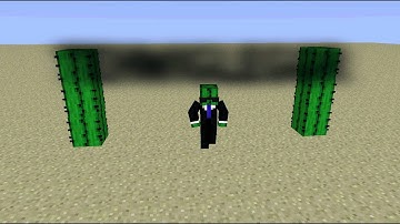 Intro Week Day 1 : Wigleg