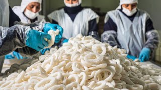 : Giant Squid Catching Process | Modern Squid Catching Machine | How Squid Is Processed In the Factory