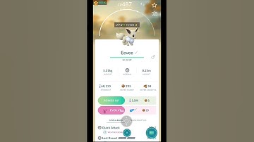 Community day special trick to evolve all eevee✨ #tricks #pokemon #shiny #pokemongo #technologia