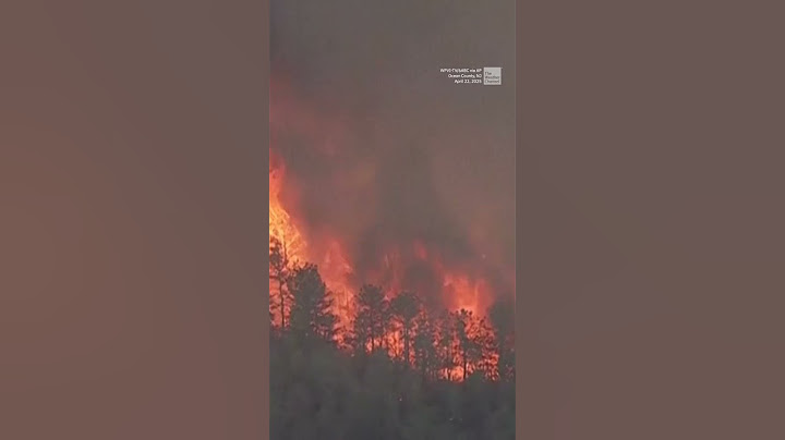 Thousands Forced To Flee New Jersey Wildfire