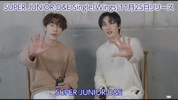 SUPER JUNIOR-D&E / 「Wings」リリースコメント