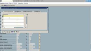 SAP Transactions for Securing Custom Programs