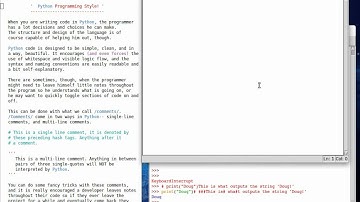 Python 08 Programming Style and Comments