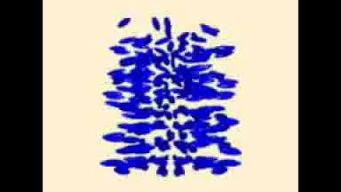 Interactive model of an S = -1 line disclination (capillary tube).