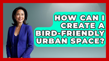 How Can I Create a Bird-Friendly Urban Space? | Bird Watching Diaries