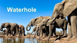 Waterhole - Wildlife Photography Hide in Botswana