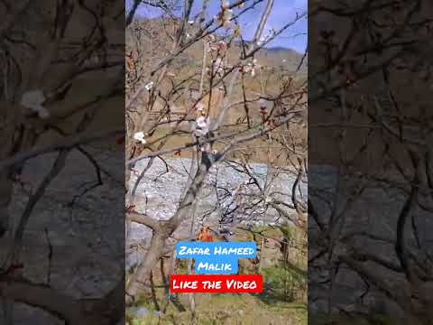 Short Of The Day April 30th 2023