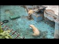 イッちゃん&ホウちゃん　2021.04.16