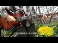 たんぽぽ 【新生活応援ソング】初めてのguitarひきたがり
