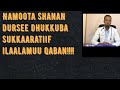 Namooti Kunniin Dirqama Dhukkuba Sukkaaratiif Ilaalamuu Qabu