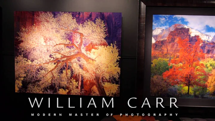 William Carr Gallery