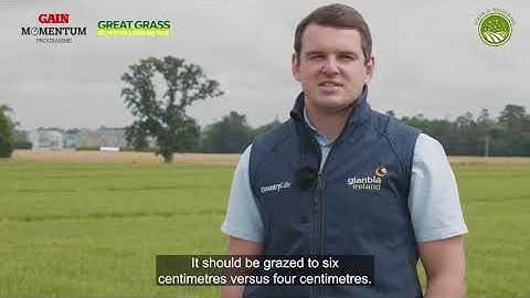 Benefits of multi-species swards