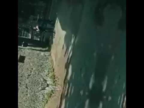 وعالموت معك عالموت