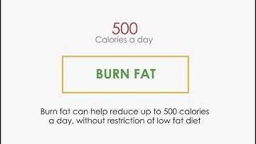 Burnfat (Alpha Cyclodextrin)