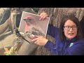 Bird Beaks and Their Adaptations in Nature