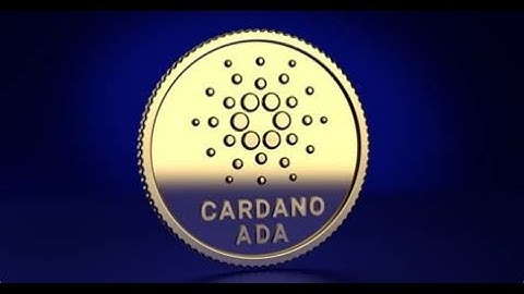 Airdrop season (ADA) airdrops how to check for (XRAY) airdrops for ADA stakers