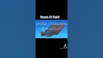 سورة الكهف القارئ توفيق الصايغ