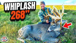 268-Inch Giant Spook Spanns Biggest Bow Buck Ever The Whiplash Story