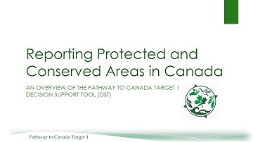 Introduction to the Decision Support Tool