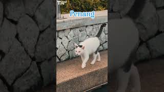 Malaysia Travel Guide 2025: From Kuala Lumpur to Langkawi