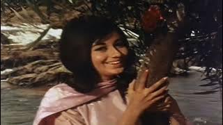 Ham To Tere Aashiq Hain_HQ Audio 