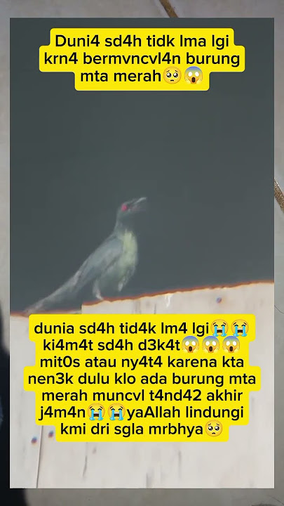 Download lagu Mit0s atau f4kta kd4tngan burung mta mrah apkh t4nd4 dvni4 tdk lma lgi😭 #fypviral #trendingshorts