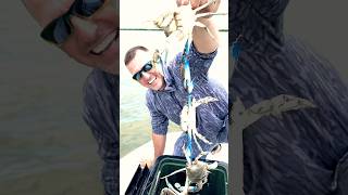 🦀The MOST Crabs I’ve EVER Caught🦀
