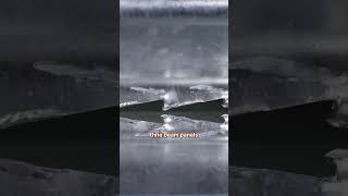 Famous Safeguarding Highways: Delta TL3 Crash Cushion #trafficcontrol #roadsafety #reels Wealth