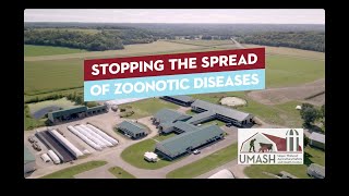 Caution with Calves: Stopping the Spread of Zoonotic Diseases