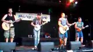 Hayseed Dixie