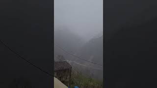 Nayino - Resül Dindar