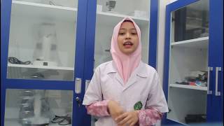 Morfologi Tumbuhan (Daun)