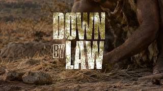 Down By Law: AI vs Privacy