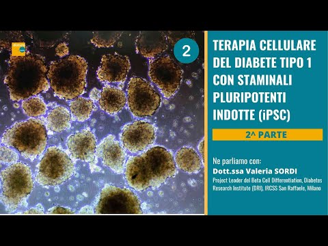 Video: Chi ha scoperto le cellule staminali pluripotenti indotte?