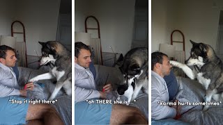 Talking Dog Gets Jealous: Hilarious Reaction to Cat Playtime!