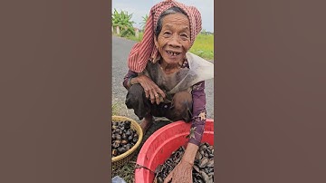 Bà Lão 73 tuổi đi mò cua bắt ốc để kiếm tiền rơi nước mắt