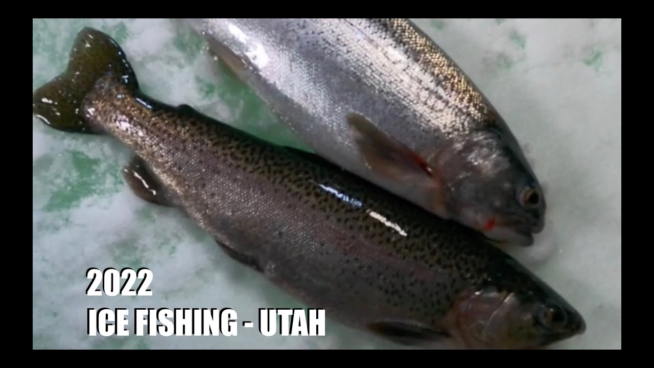 Ice fishing utah 2022(multiple spots) YouTube